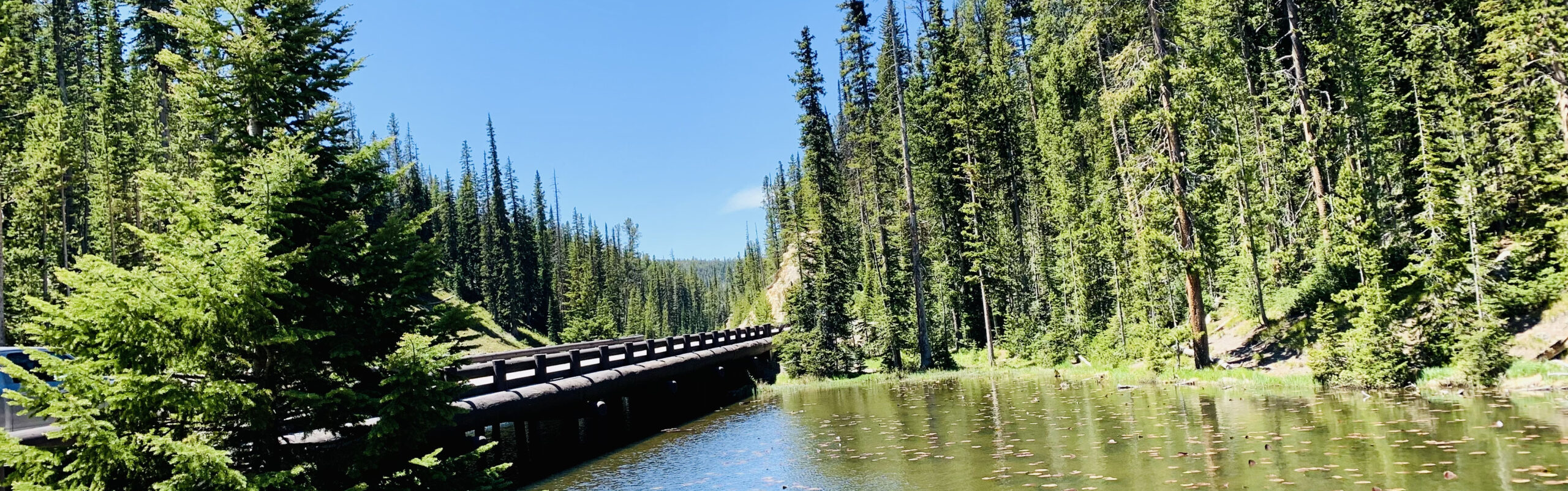 Located on the north exit of Yellowstone National Park